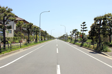 道の画像
